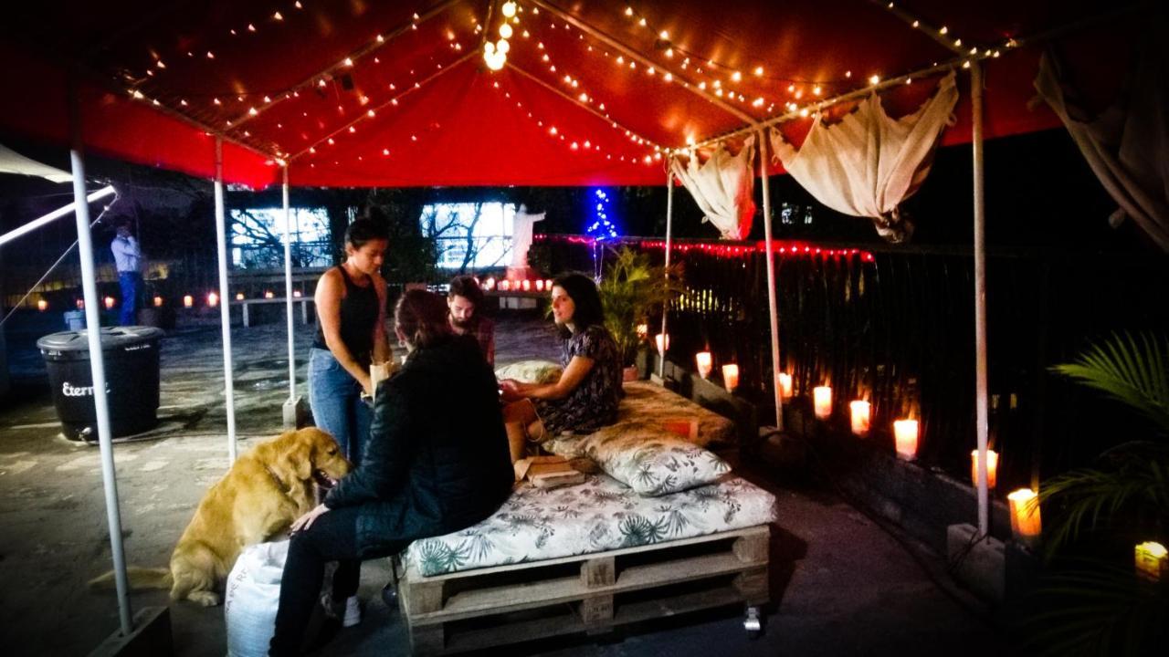 Selvatica Alojamiento Eco (Adults Only) メデジン エクステリア 写真